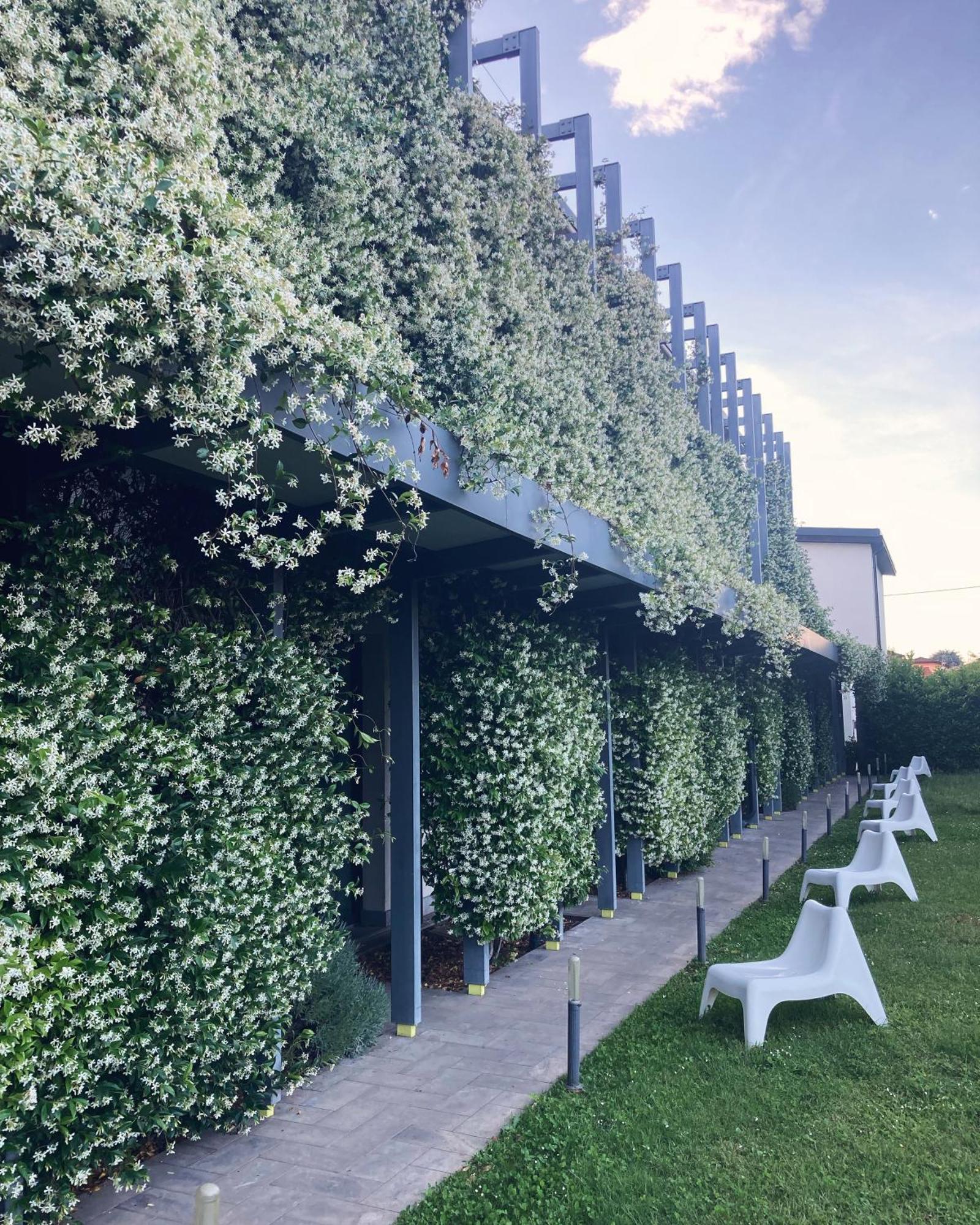 Apartahotel Mxp Cardano Al Campo